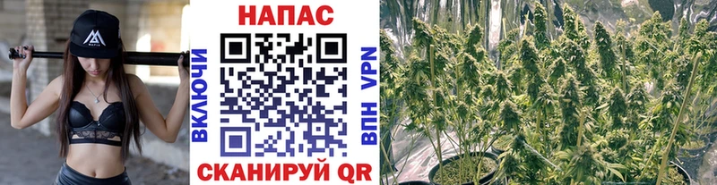 Какие есть наркотики Моздок Каннабис АМФ СОЛЬ ГАШИШ Мефедрон