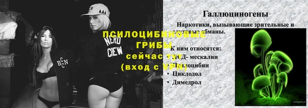 прущая мука Алексин