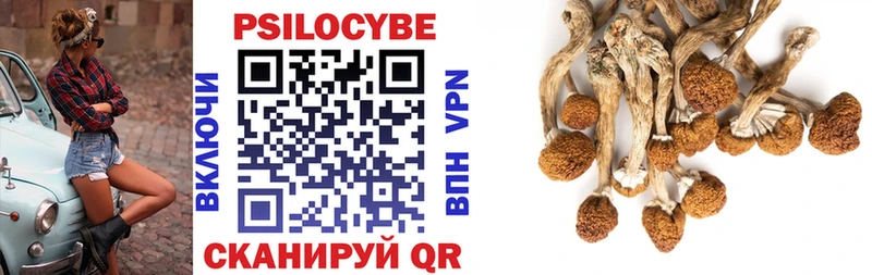 купить закладку  Моздок  Галлюциногенные грибы GOLDEN TEACHER 