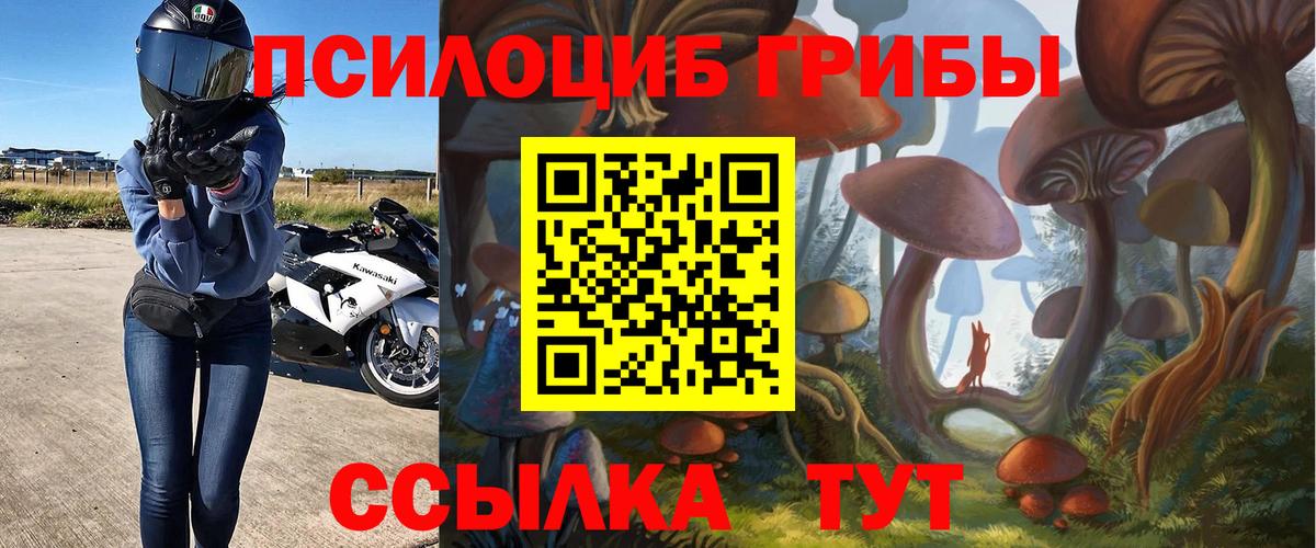 Моздок  Псилоцибиновые грибы Magic Shrooms  Вход с VPN  Псилоцибиновые грибы мицелий 