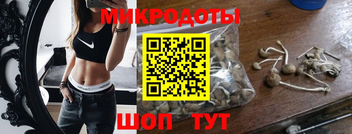 Галлюциногенные грибы GOLDEN TEACHER Моздок